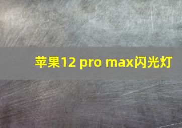 苹果12 pro max闪光灯